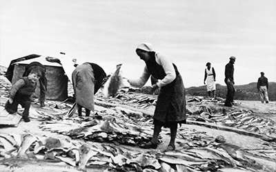 KMb-2015-030.0004 KMb-2015-030.0004