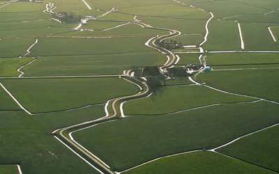 theo2_website theo2_website