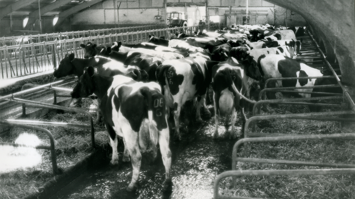 09-00095stal 09-00095stal