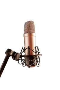 KFG-Sieperda-symposium 2022: Fan nijsblêd oant podcast – over nieuwscultuur in Fryslân 9 microphone KL