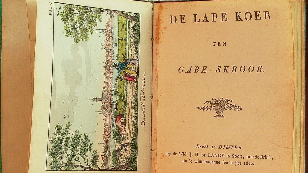 Lapekoer a