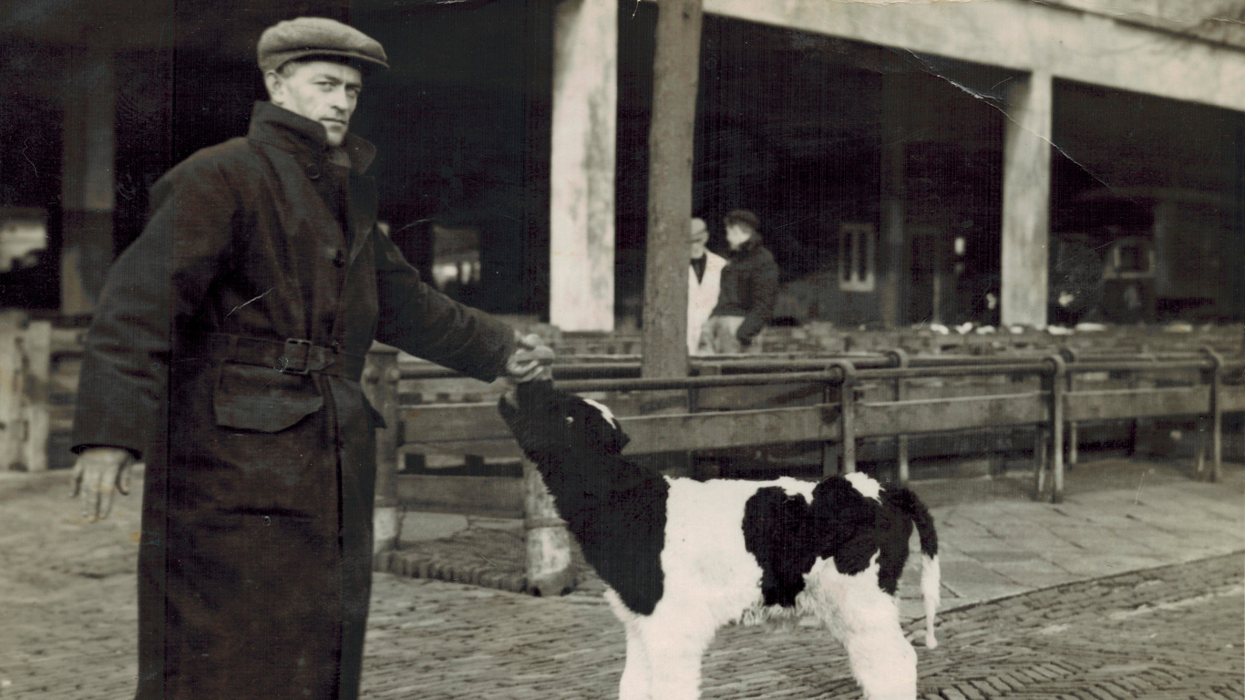 foto heit 1200 dpi foto heit 1200 dpi