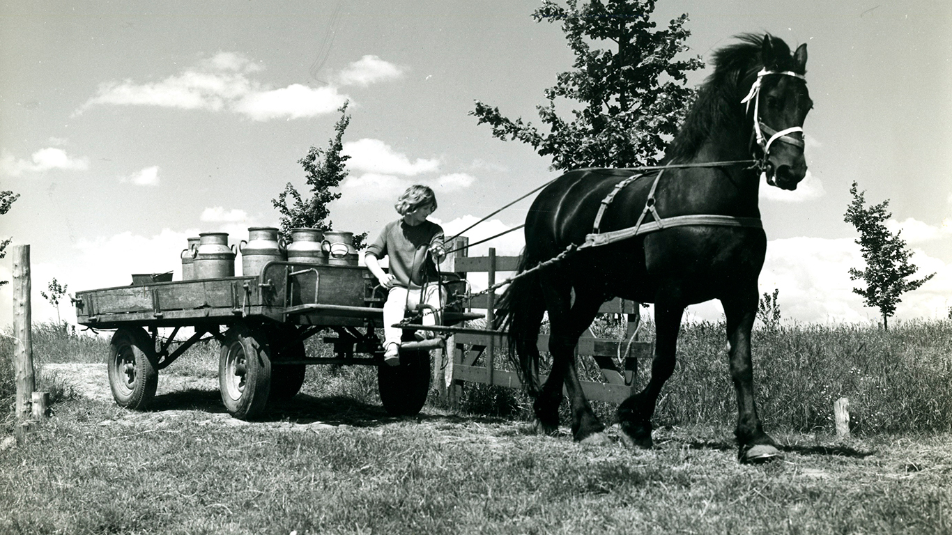 Ankeiler 4 Paard en Miedemawagen