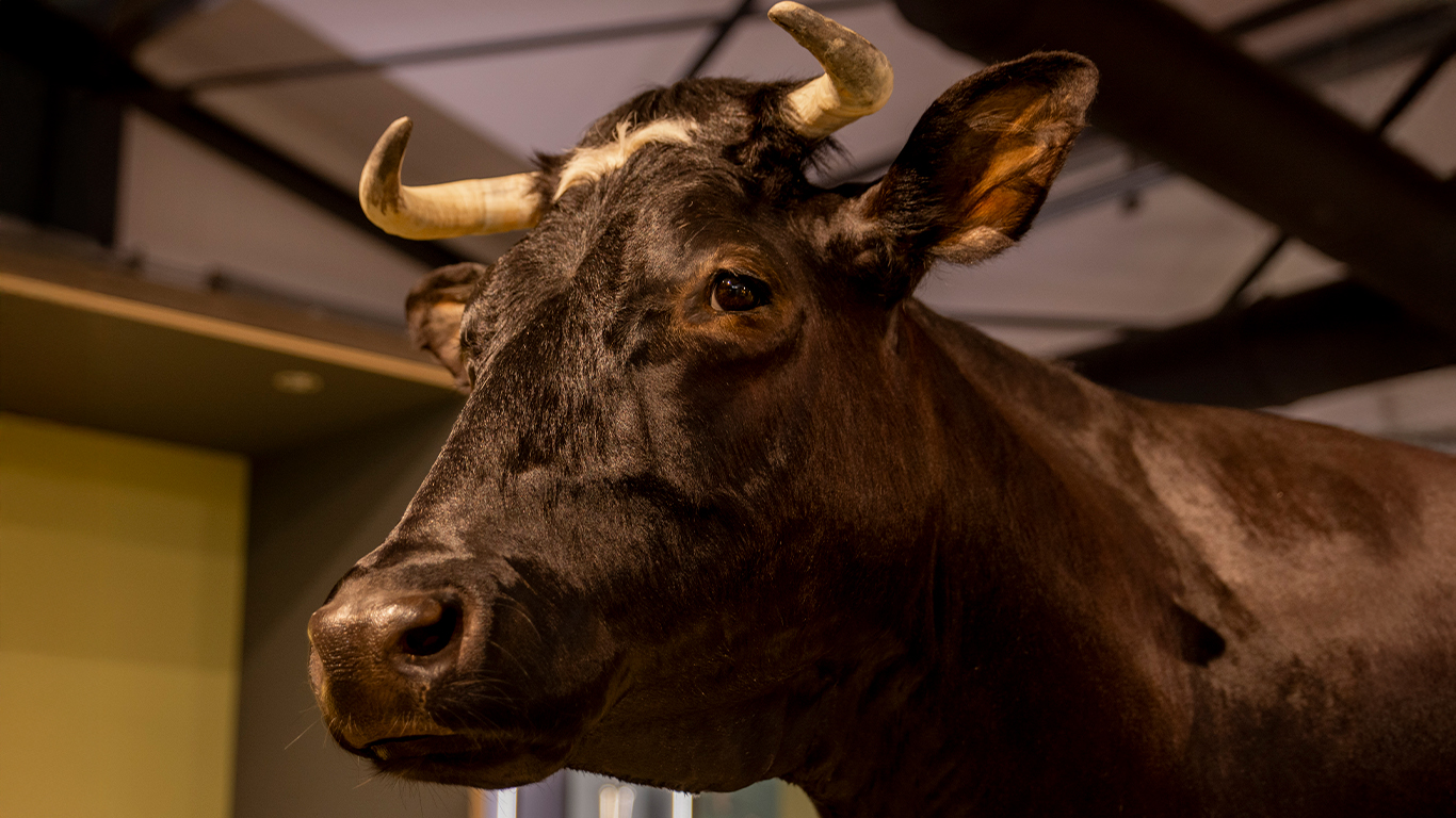 ankeiler_1_sep25 ankeiler_1_sep25